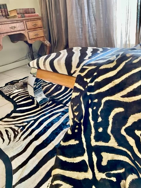 Zebra Hide in a living room.