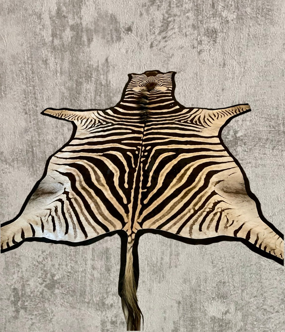Vebra Hide ZEBRA HIDE CARPET – Zebra Concept